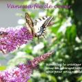 Papillon site internet 1ere page petit 70p couleur
